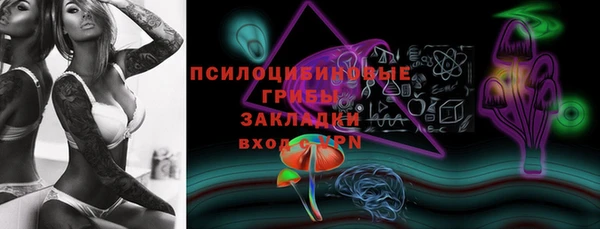 крисы Дмитриев