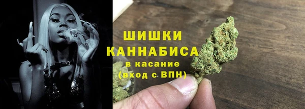 тгк Дмитров