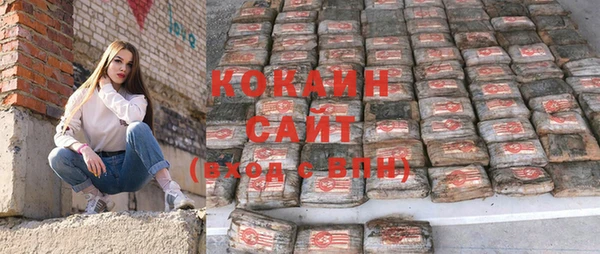 тгк Дмитров
