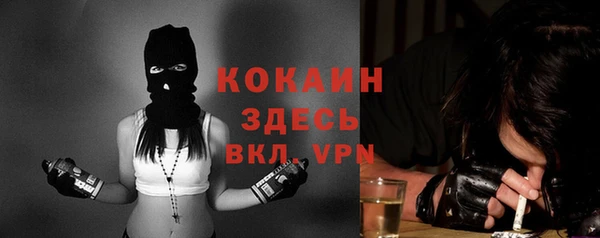 тгк Дмитров