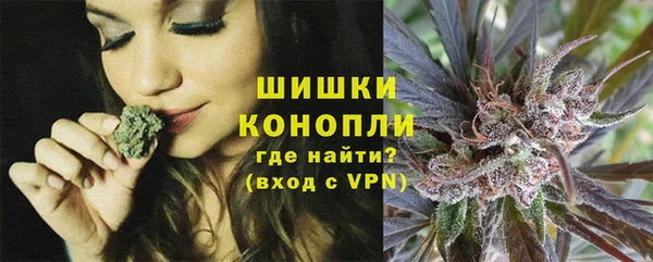 тгк Дмитров