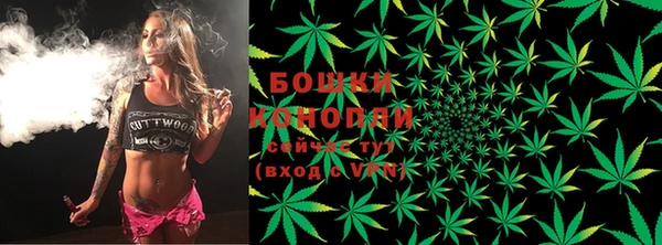 крисы Дмитриев