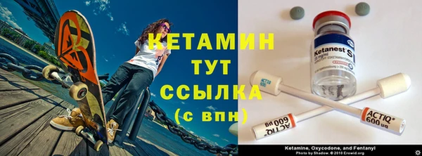 крисы Дмитриев