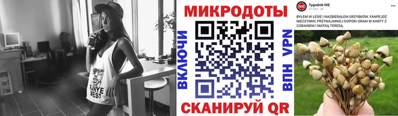 Псилоцибиновые грибы Magic Shrooms  Купить закладки  Катав-Ивановск 